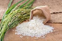 پاورپوینت در مورد برنج